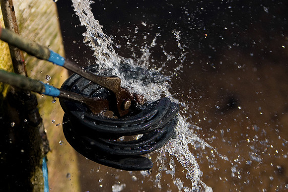 Farrier