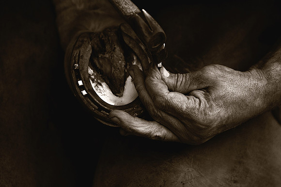 Farrier