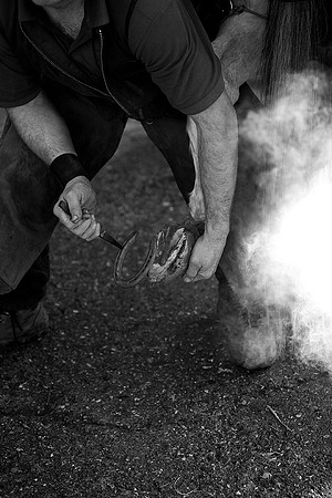 Farrier
