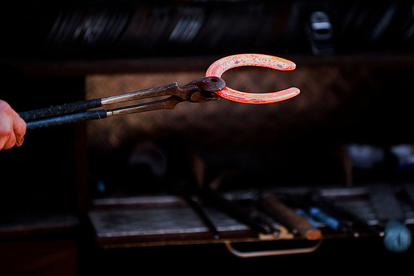 Farrier