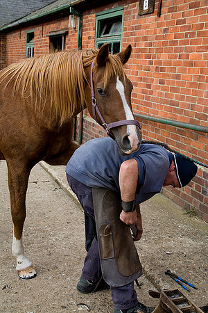 Farrier