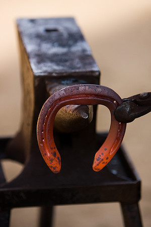 Farrier