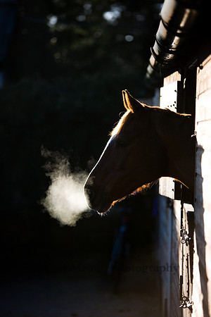 Early morning
