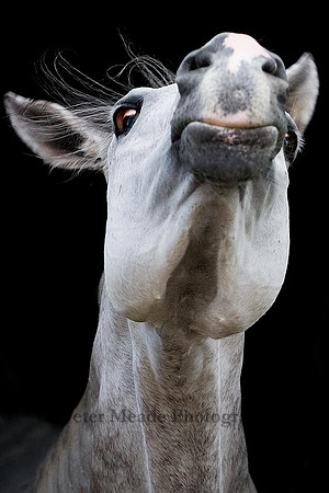 Funny face