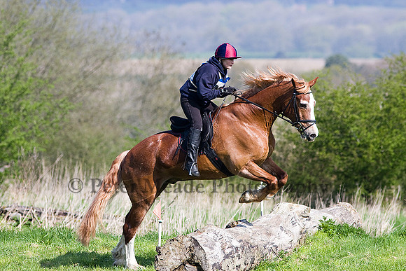 Equestrian Life