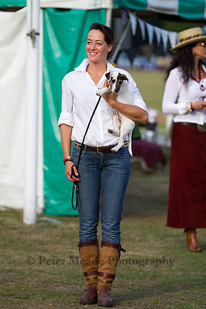 Equestrian Life