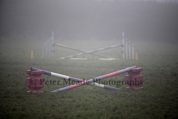 Equestrian Life
