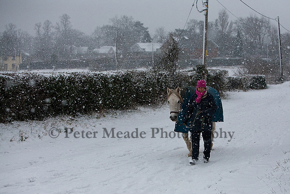 Equestrian Life