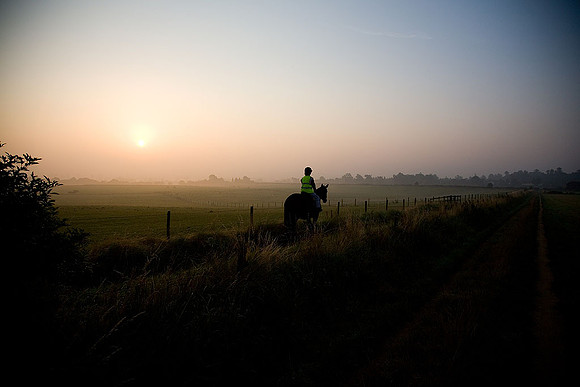 Equestrian Life
