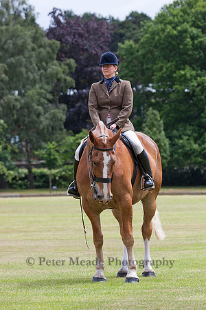 Equestrian Life