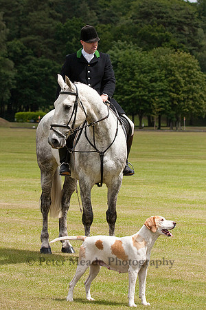 Equestrian Life