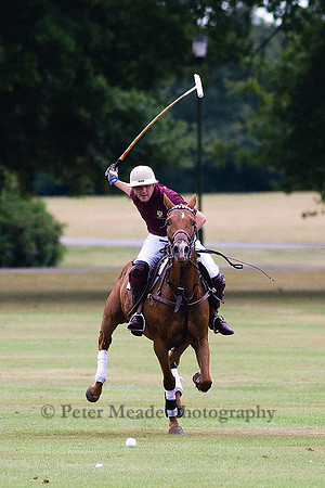 Equestrian Life