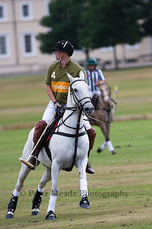 Equestrian Life