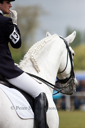 Equestrian Life