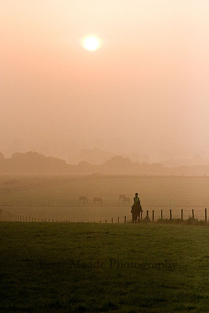 Equestrian Life