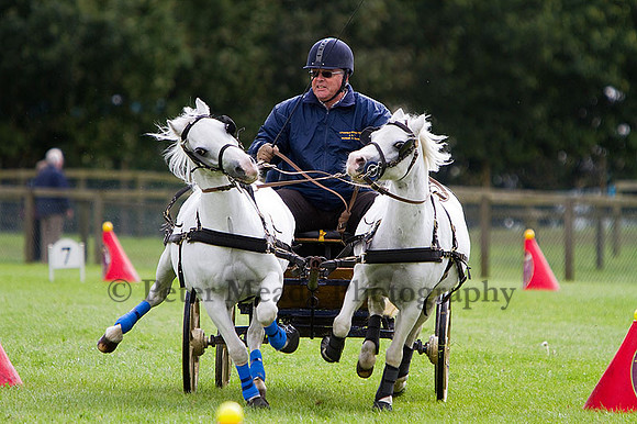 Equestrian Life