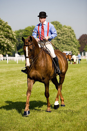 Equestrian Life