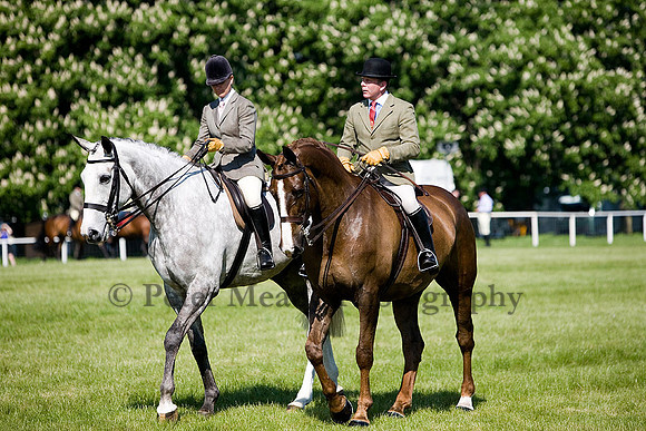 Equestrian Life