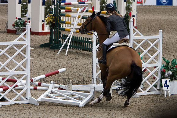 Equestrian Life