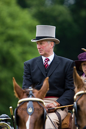 Equestrian Life