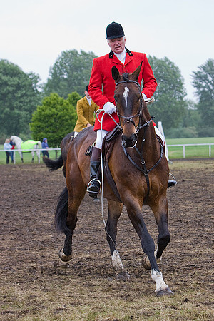 Equestrian Life