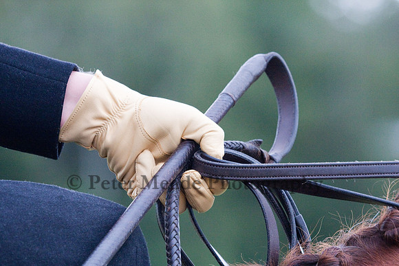 Equestrian Life