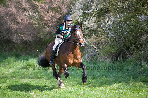 Equestrian Life
