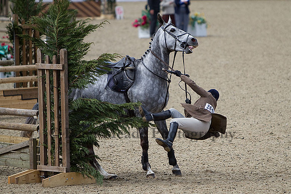 Equestrian Life