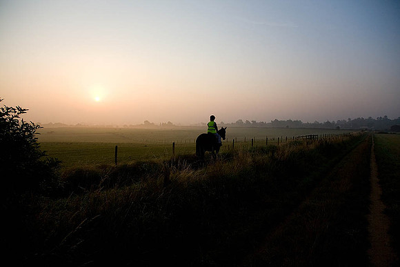 Equestrian Life