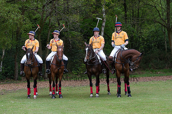 RMA Sandhurst Polo Club
