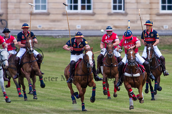 Heritage Open Day Polo 2010
