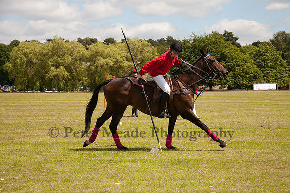 Heritage Open Day Polo 2010