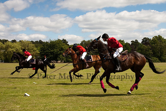 Heritage Open Day Polo 2010