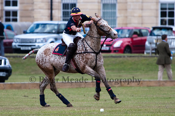 Heritage Open Day Polo 2010