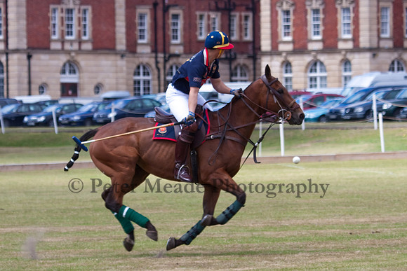 Heritage Open Day Polo 2010