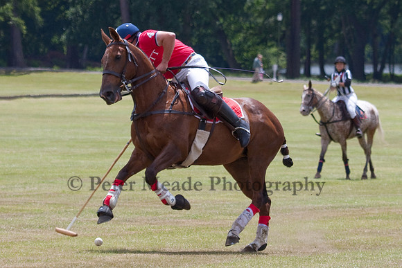 Heritage Open Day Polo 2010