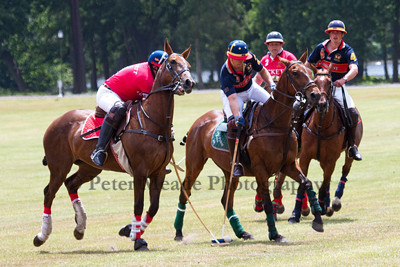 Heritage Open Day Polo 2010