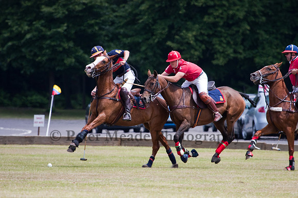 Heritage Open Day Polo 2010