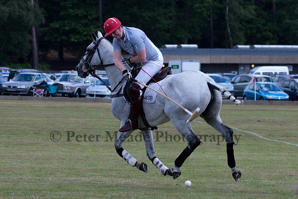 Heritage Open Day Polo 2010
