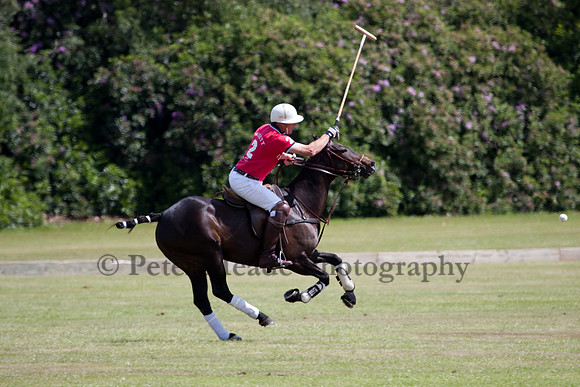 Heritage Open Day Polo 2010