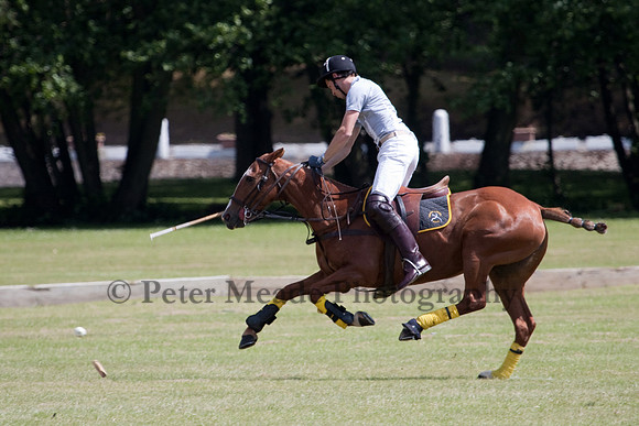 Heritage Open Day Polo 2010