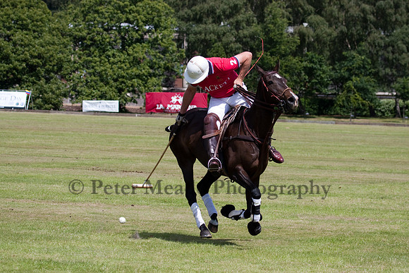 Heritage Open Day Polo 2010