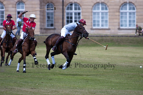 Heritage Open Day Polo 2010