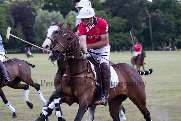 Heritage Open Day Polo 2010