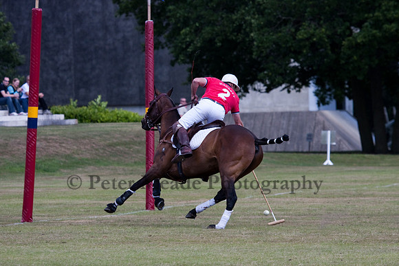 Heritage Open Day Polo 2010