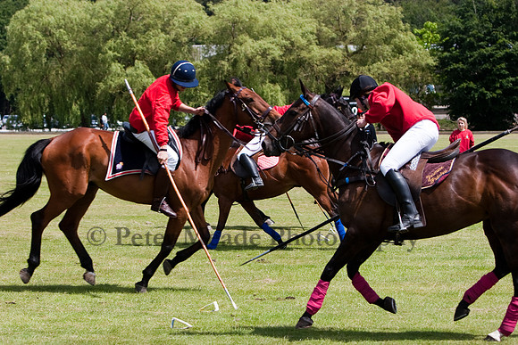 Heritage Open Day Polo 2010