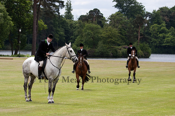 Heritage Open Day Polo 2010