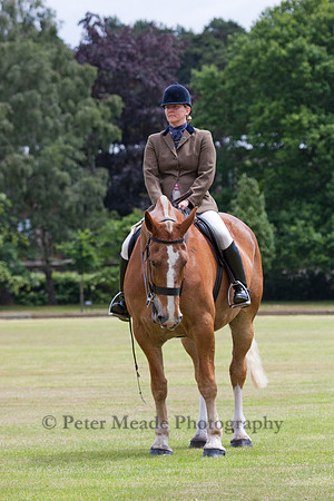 Heritage Open Day Polo 2010
