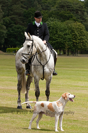 Heritage Open Day Polo 2010