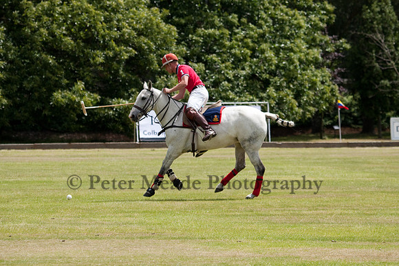 Heritage Open Day Polo 2010
